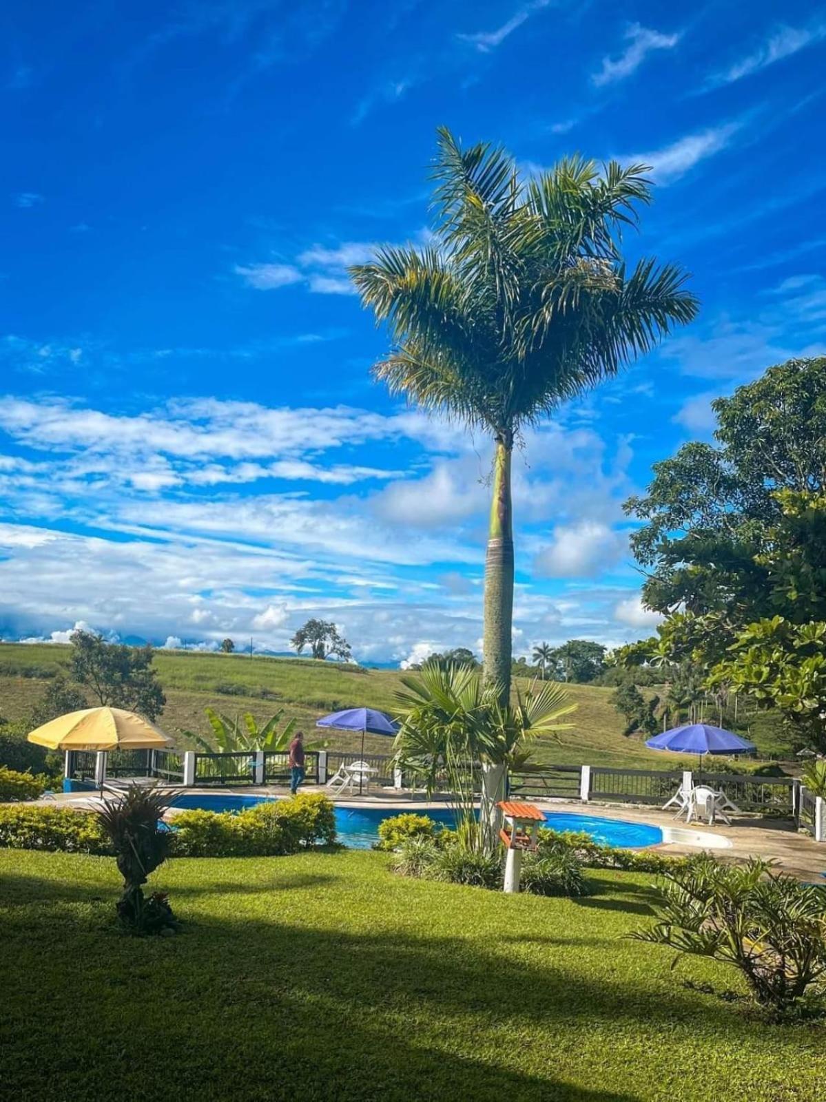 Finca Hotel Palmas Frente A Panaca Quimbaya Zewnętrze zdjęcie