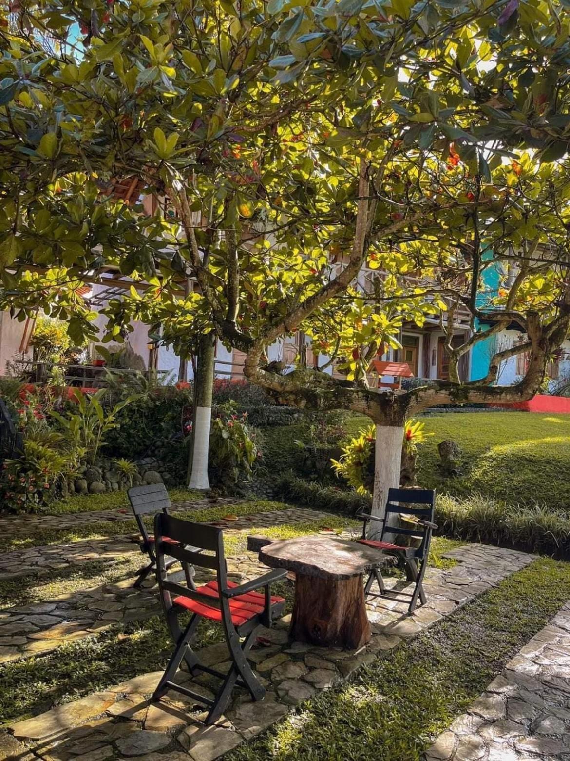 Finca Hotel Palmas Frente A Panaca Quimbaya Zewnętrze zdjęcie