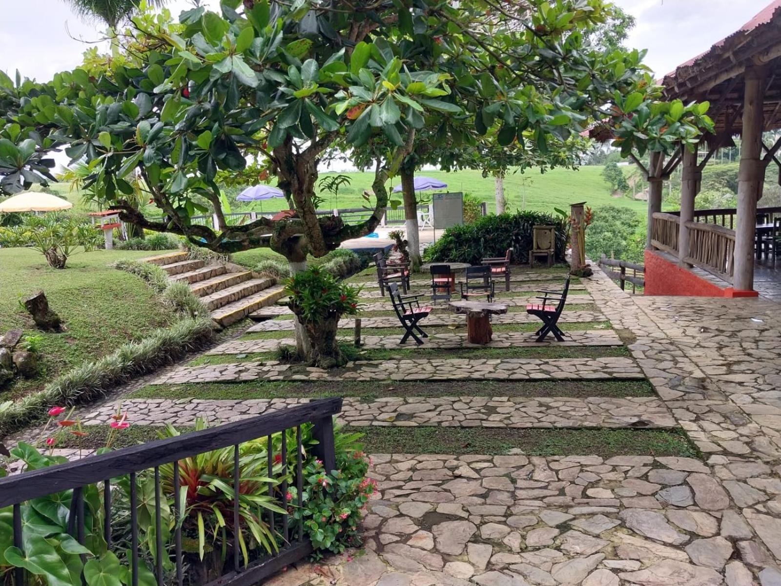 Finca Hotel Palmas Frente A Panaca Quimbaya Zewnętrze zdjęcie